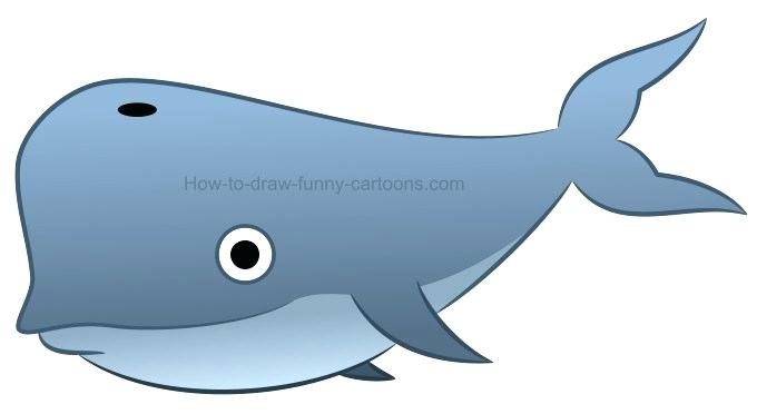 680x372 How To Draw Whales