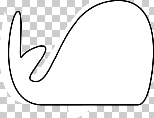 310x238 Cetacea Blue Whale Whale Drawing Png Clipart Free Cliparts