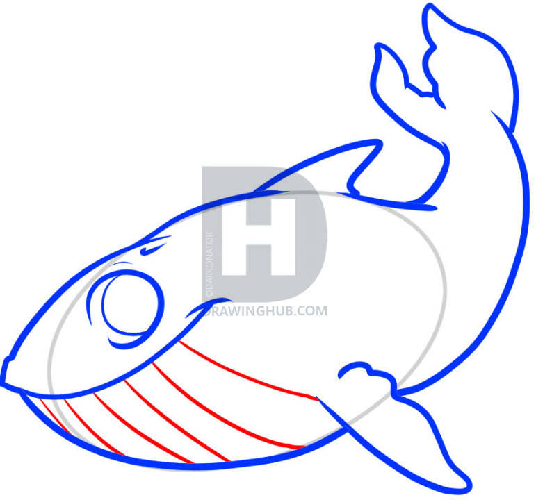 771x720 How To Draw A Whale For Kids, Step