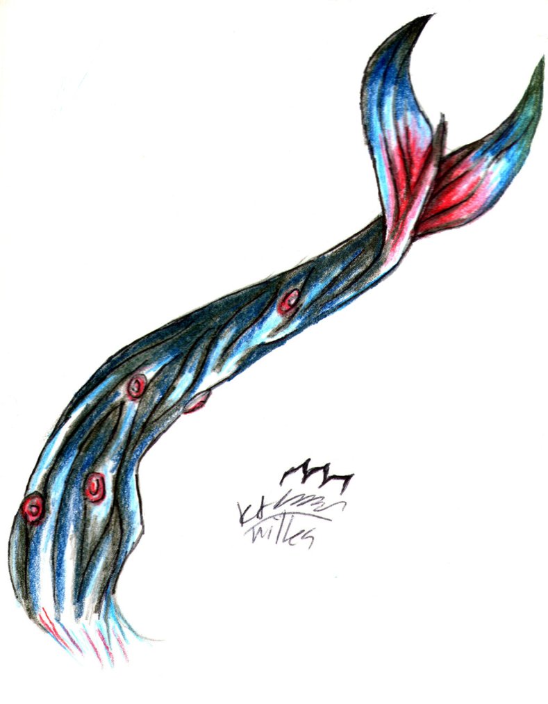 789x1013 Random Blue Whale Bikaku