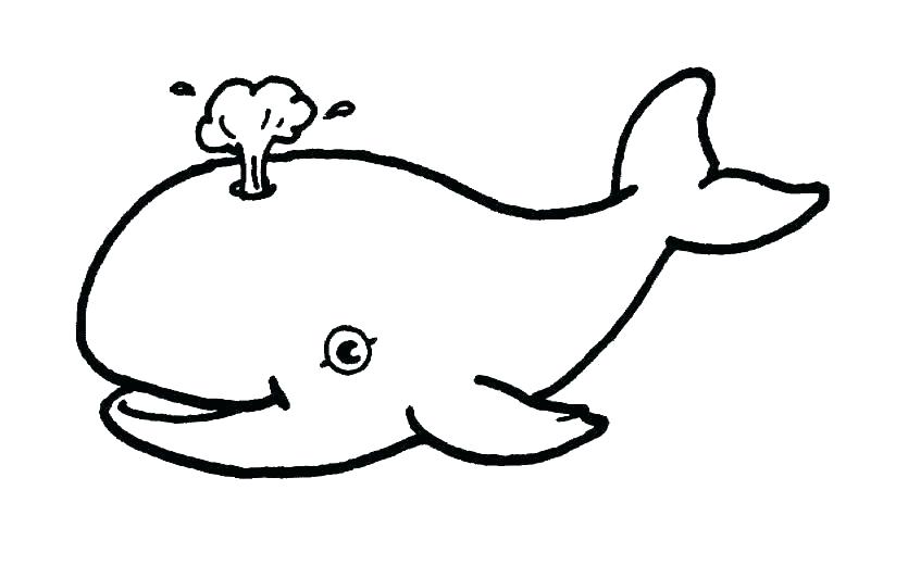 835x532 Whale Coloring
