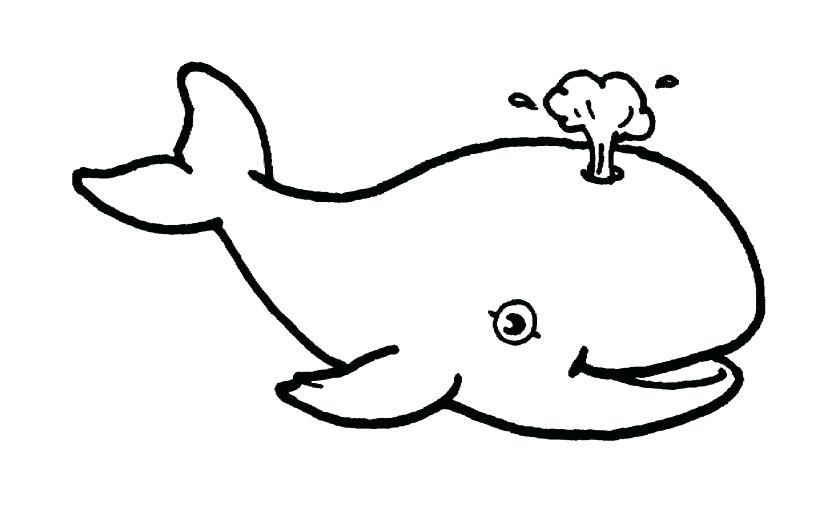 835x532 Whale Coloring Whale Coloring