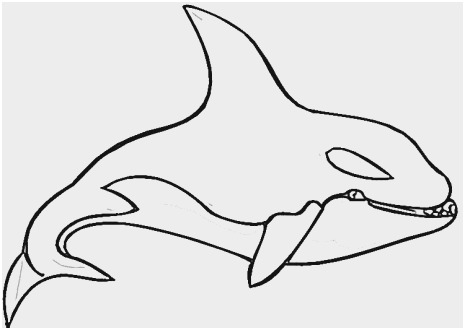 465x330 Blue Whale Coloring