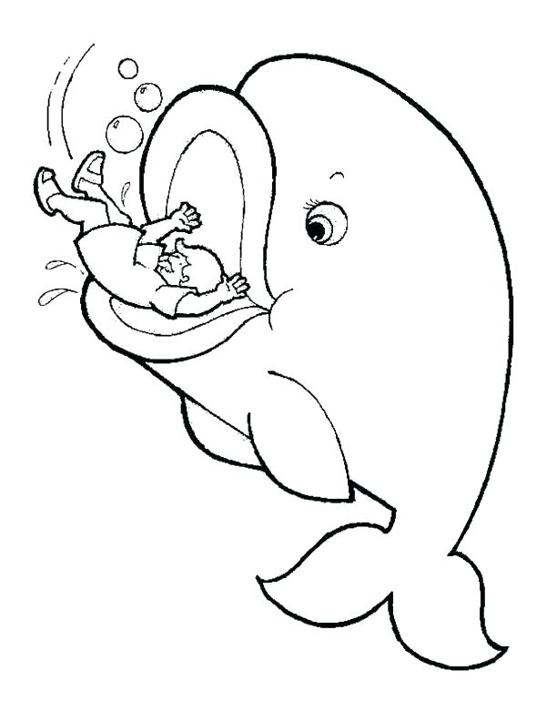 612x792 blue whale coloring pages blue whale coloring