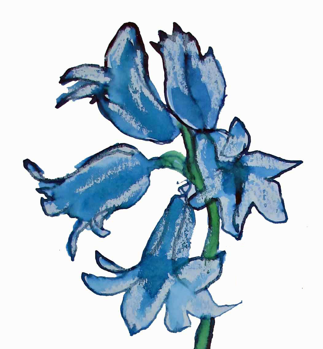 1056x1142 Drawing One