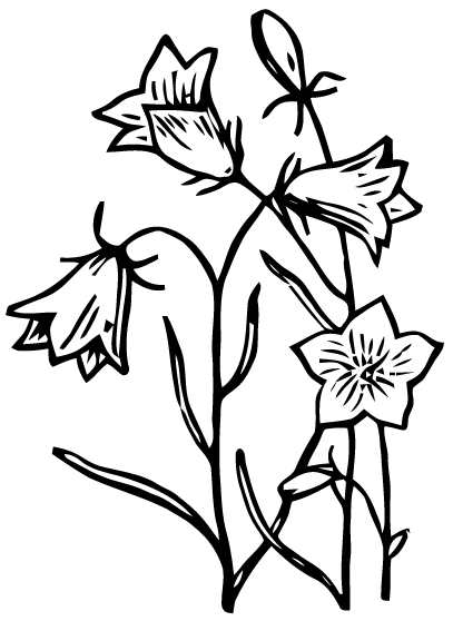 407x558 Free Vector Art Bluebell Flowers Images