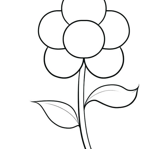 678x600 Easy Flower Drawing Tutorials