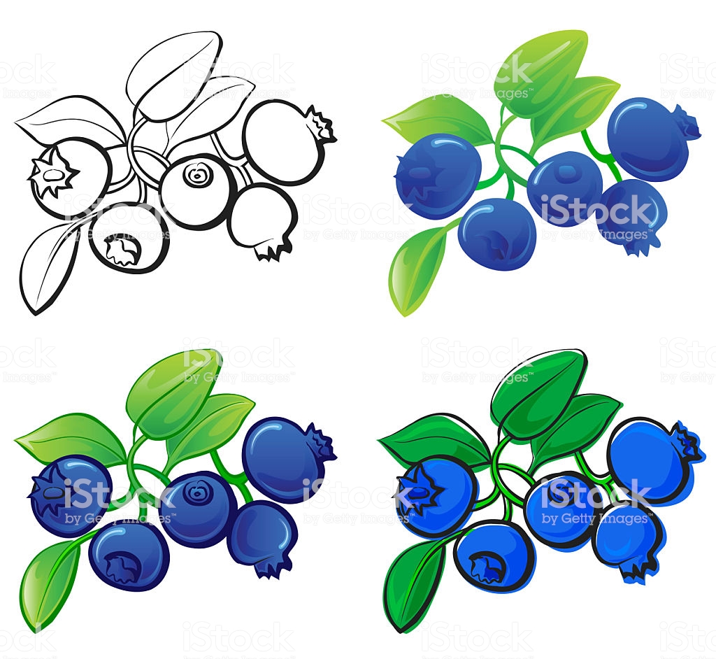 1024x942 Blueberries Clipart Color