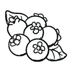 150x150 Blueberry Bush Drawing At Getdrawings Free For Personal Use