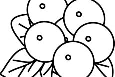 230x155 Blueberry Bush Outline Coloring Pages Best Place To Color