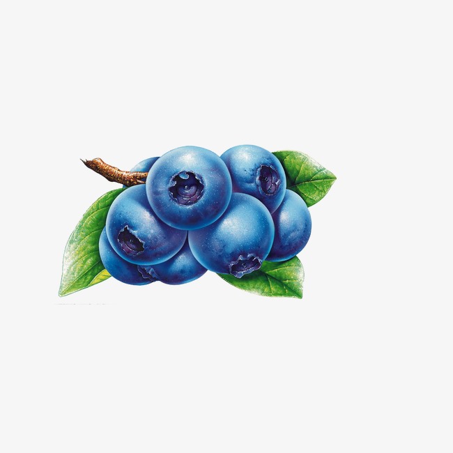 650x650 Blueberry Transparent Png Clipart Free Download