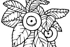 230x155 Find The Best Coloring Pages Resources Here!