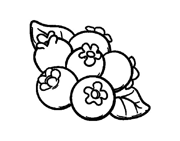 600x470 Blueberry Coloring