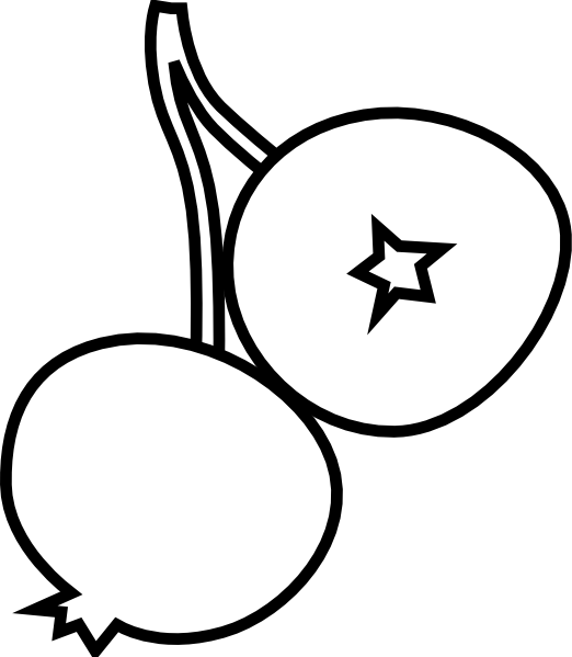 522x599 Blueberry Drawing For Free Download