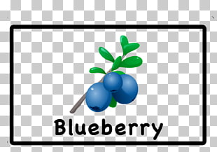 310x217 Page Drawing Blueberries Png Cliparts For Free Download
