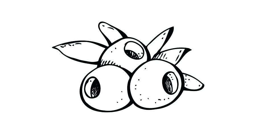 900x480 blueberry drawing blueberry drawing cute