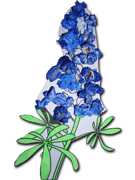 432x576 Bluebonnet Clipart