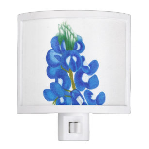307x307 Bluebonnet Night Lights Zazzle