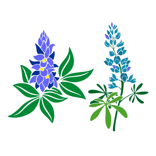600x600 Collection Of Free Flower Clipart Bluebonnet Amusement Clipart