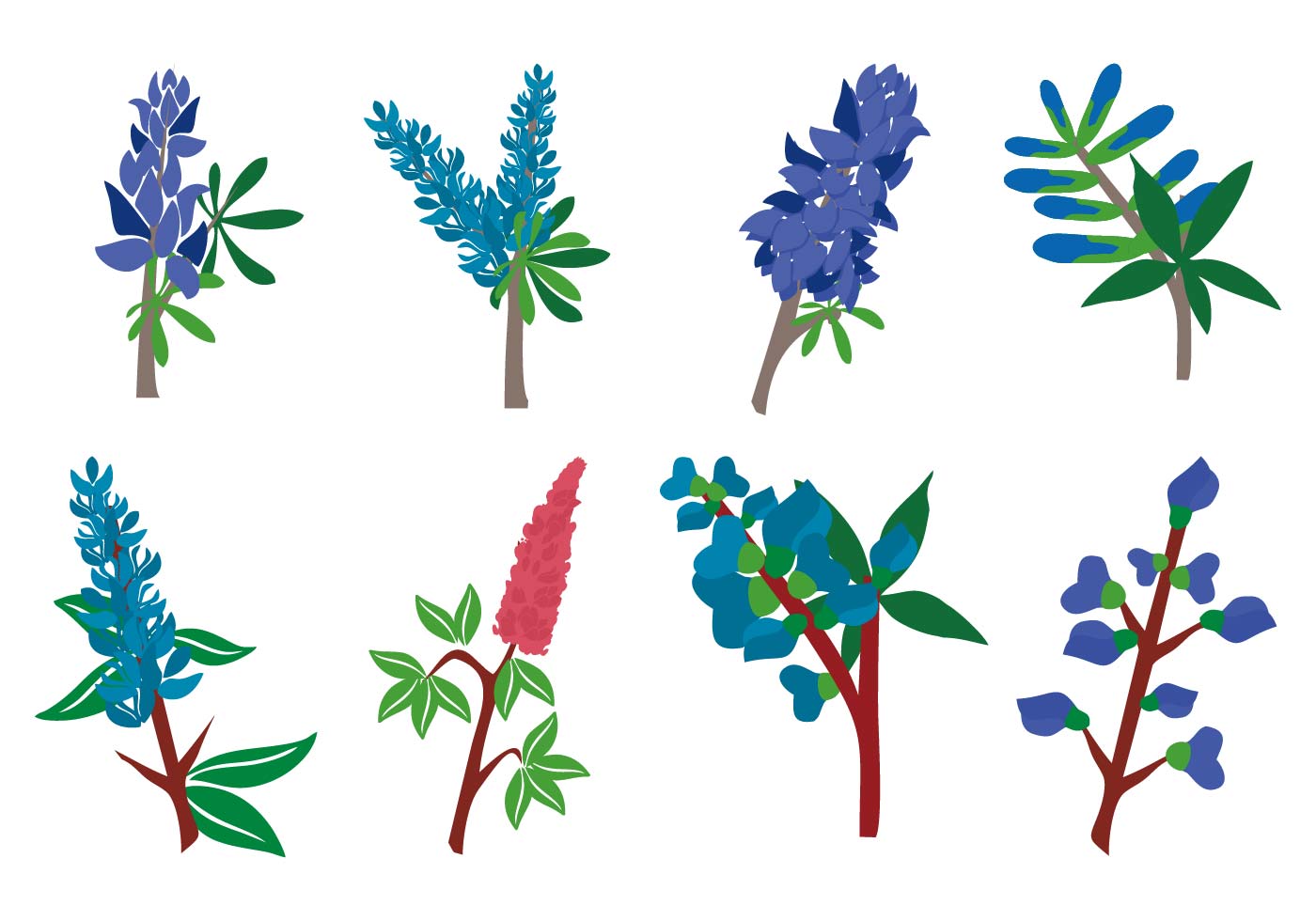 1400x980 Free Bluebonnet Flower Vector