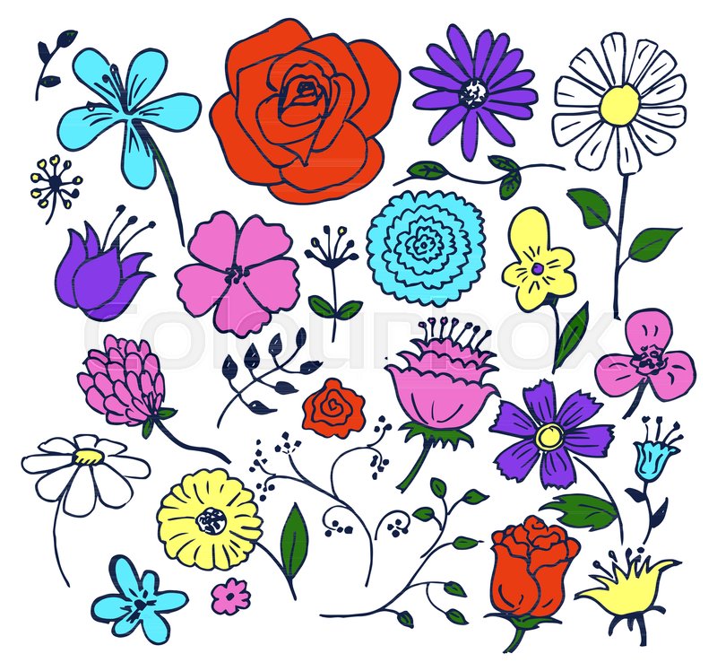 800x748 Flowers Hand Drawn Elements, Blooming Stock Vector Colourbox