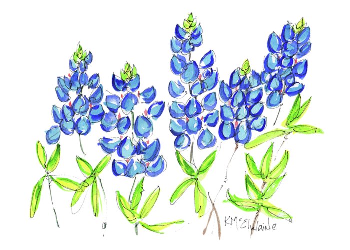 700x500 Texas Bluebonnets Watercolor Painting