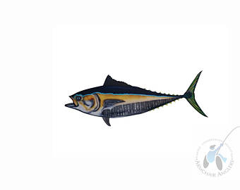 340x270 Blue Fin Tuna Etsy