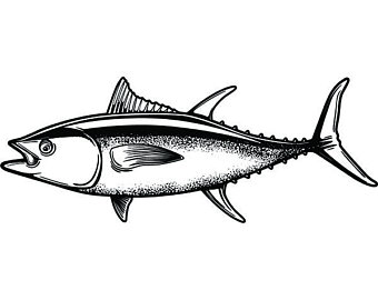 340x270 bluefin tuna etsy