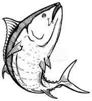 182x200 swimming bluefin tuna sketch stock vectors