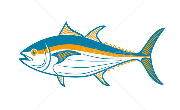 600x368 Tuna Stock Vectors, Illustrations And Cliparts Stockfresh
