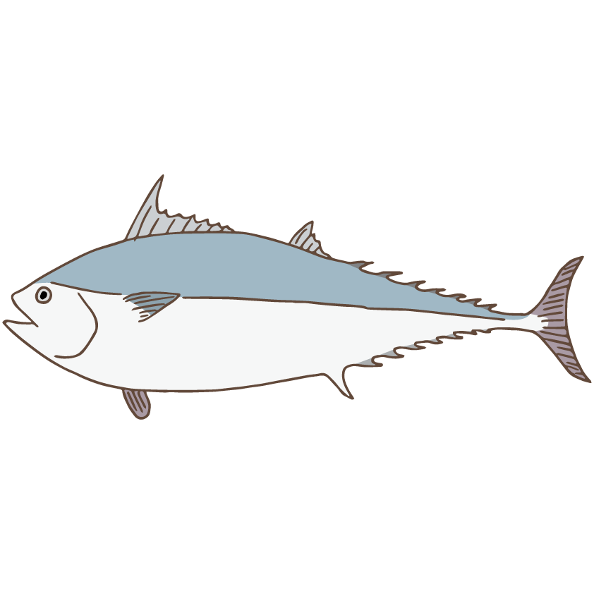 Bluefin Tuna Drawing | Free download on ClipArtMag