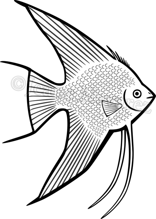 500x702 Collection Of Free Bass Drawing Hard Download On Ui Ex