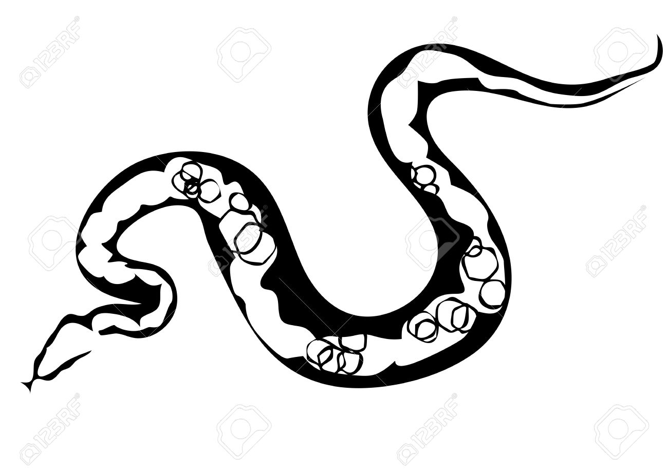 1300x919 boa constrictor clipart python