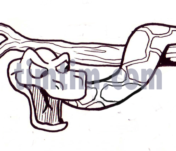 612x525 free drawing of a tree snake bw from the category reptiles