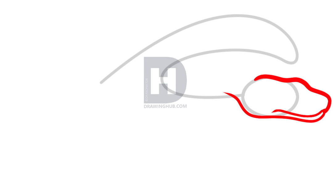 1080x555 how to draw a boa constrictor, step