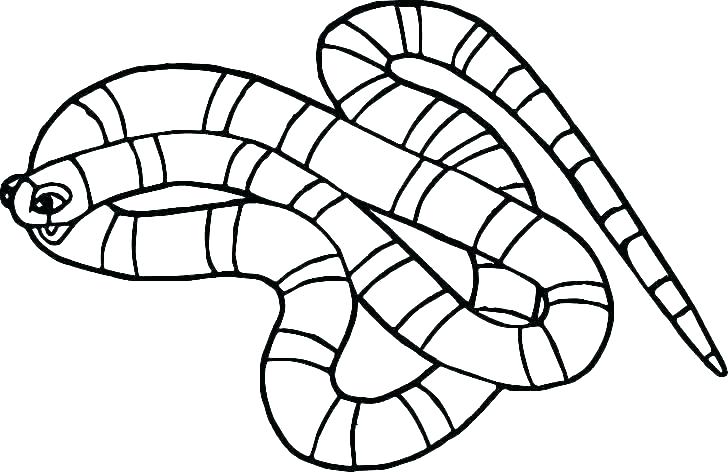 728x472 Snake Coloring Pages Momjunction