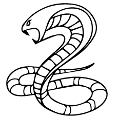 230x230 Top Free Printable Snake Coloring Pages Online