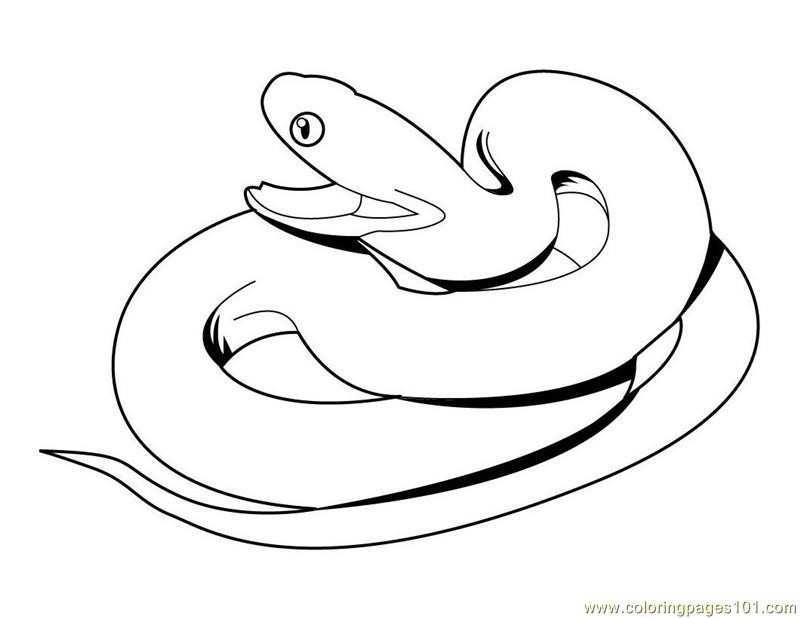 800x618 Viper Snake Coloring