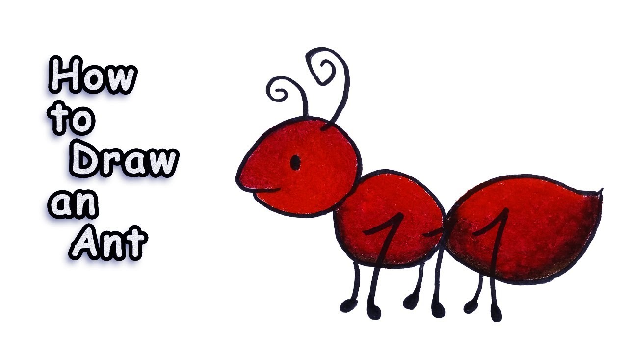 1280x720 How To Draw Cute Baby Red Ant Cartoon Character Drawing Tutorial