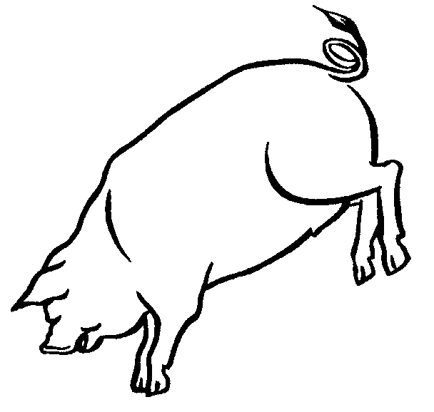 608x578 Boar Drawing Free Download