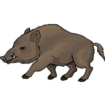 400x400 Boars Transparent Png Images