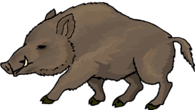 400x225 Download Free Png Boar Drawing