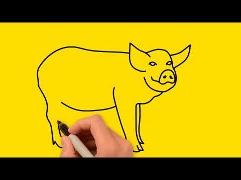480x360 How To Draw A Wild Boar
