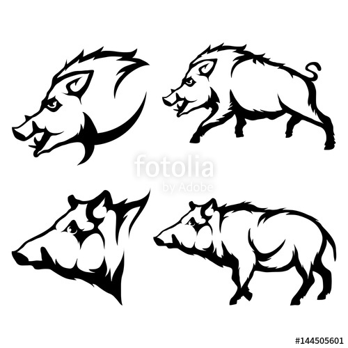 500x500 Vector Set Of Black Wild Boars And Boar Logo Isolated On White