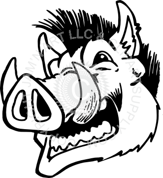 331x361 razorback head facing left