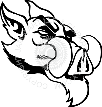 345x361 razorback head facing right side