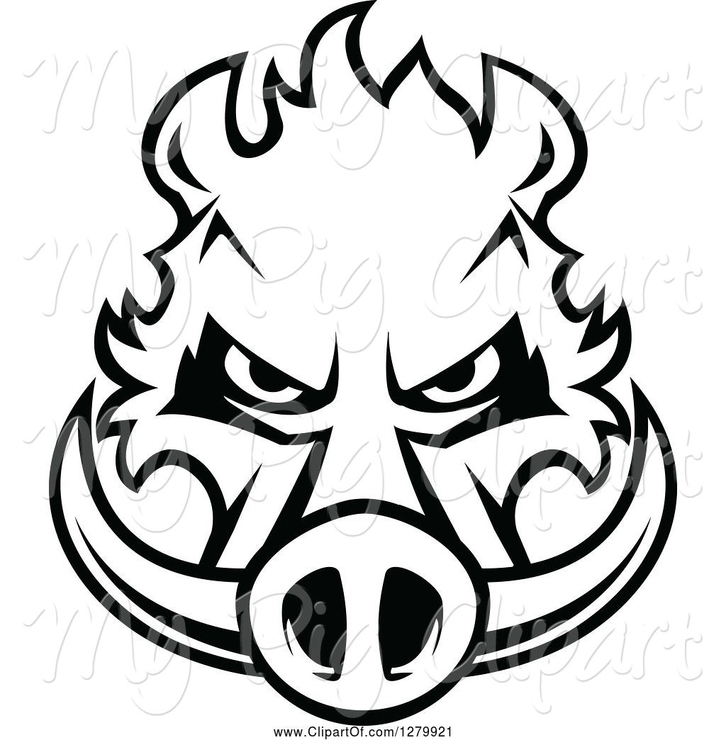 1024x1044 Swine Clipart Of Black And White Aggressive Boar Head