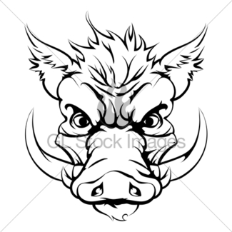 325x325 Wild Boar Head Gl Stock Images