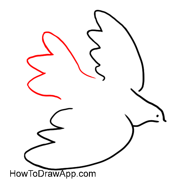 600x600 Learn How To Draw A Dove Of Peace In Pablo Picasso's Style