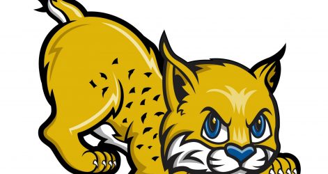 471x250 how to draw a bobcat cub paw easy machine an i fertility